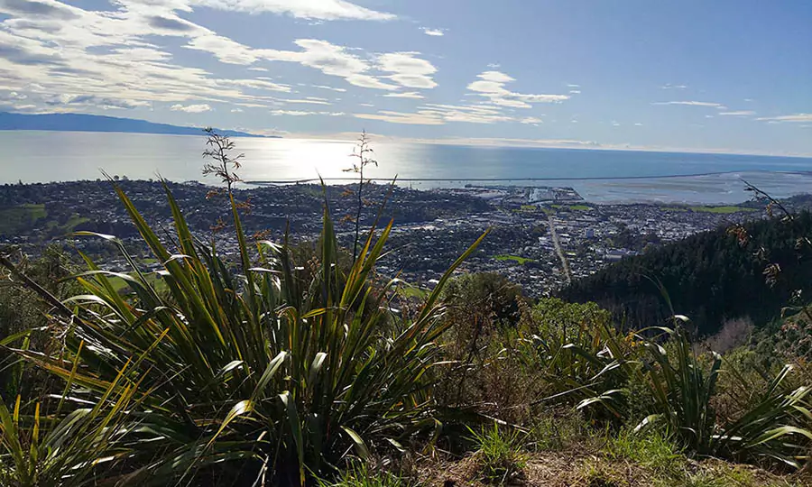 View of the Centre from the Grampians